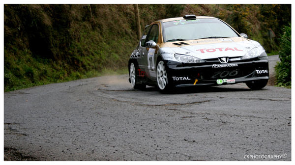 Number 12  by Redhotchillipepper Peugeot 206 modifiyeleri   206 resimleri