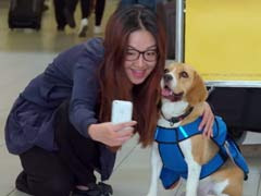 Going Viral: Sherlock is Back and he Now Works For This Airline (Kind of)