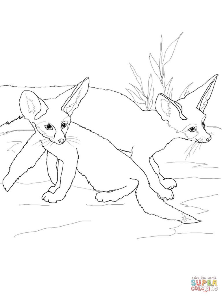 Download Fennec Fox Coloring Page at GetDrawings | Free download