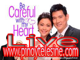 Be Careful With My Heart 24 May 2013 Live | Pinoy Telesine | Pinoy Tambayan