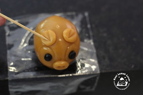 pig20 copy
