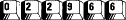 Web Counter