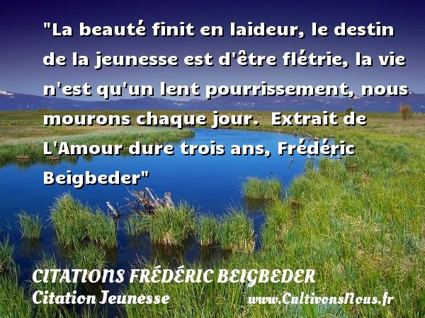 La Beaute Finit En Laideur Citations Frederic Beigbeder Cultivons Nous
