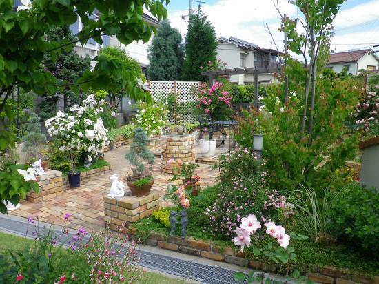 施工例 庭デザイン姫路 バラに挑戦 兵庫県加古郡播磨町