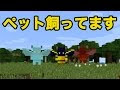 √1000以上 マイン クラフト pe スキン 変え 方 311701