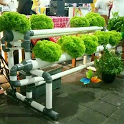 44+ Model Model Sistem Hidroponik