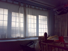 Woken by the sunrise