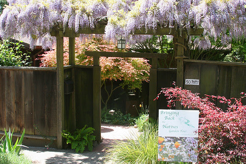 japanese-california garden