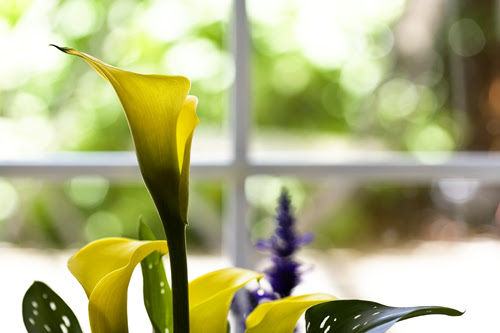 april2710_1