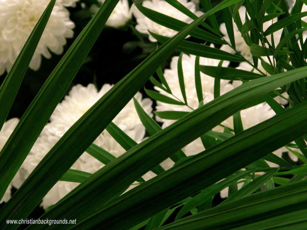 Free Twitter Backgrounds Free Twitter Backgrounds