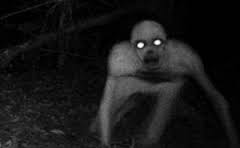 wallpaper hantu seram bergerak 20 DP BBM Animasi Hantu Bergerak Yang Seram dan Gokil 