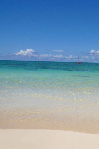 Iphone用ハワイの壁紙無料ダウロード ハワイのライフスタイルブランド Nalu Hawaiian Spirit