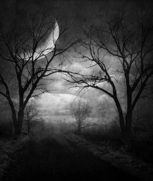 Sometimes to bathe in the moon's light we must walk through dark paths. Or the trails of others.