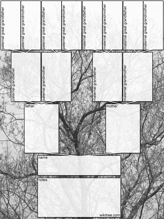 a family tree chart was a