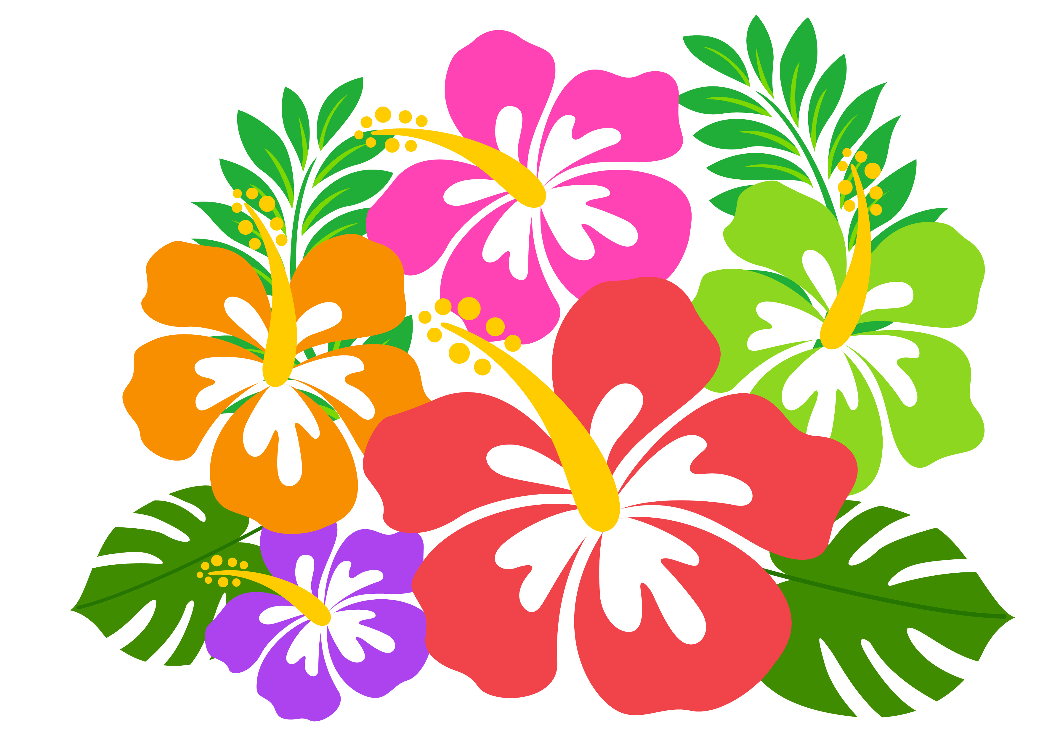 新しい8月の花 イラスト 無料