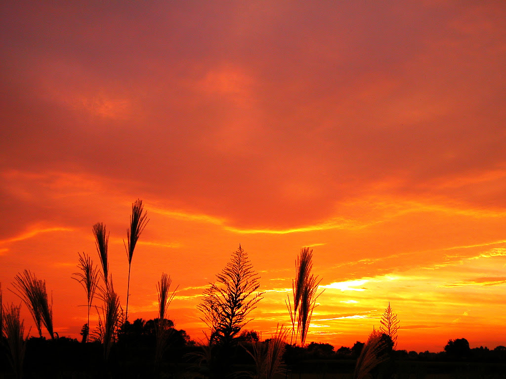 夕焼けの壁紙 夕日の写真
