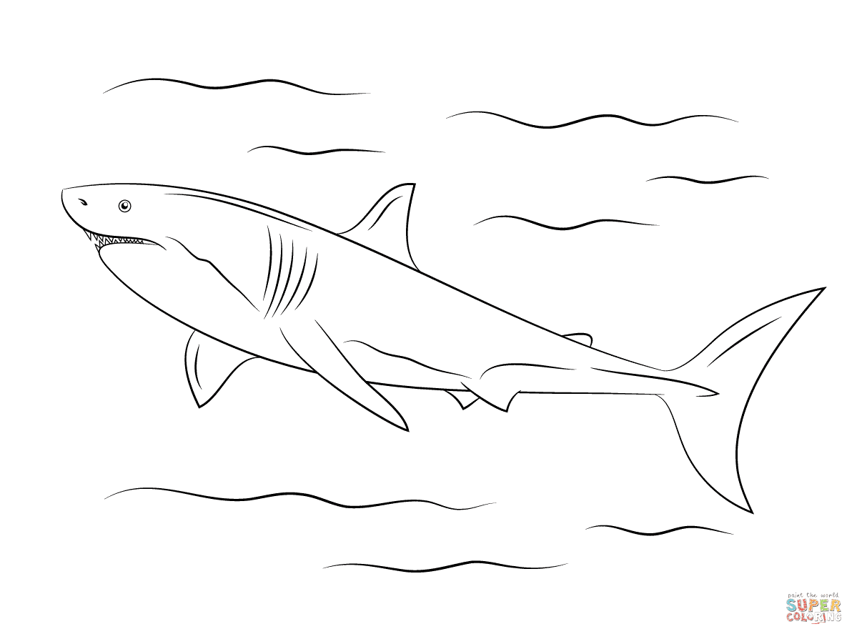 the Great White Shark coloring pages