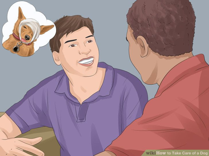 Take Care of a Dog Step 10 Version 2.jpg