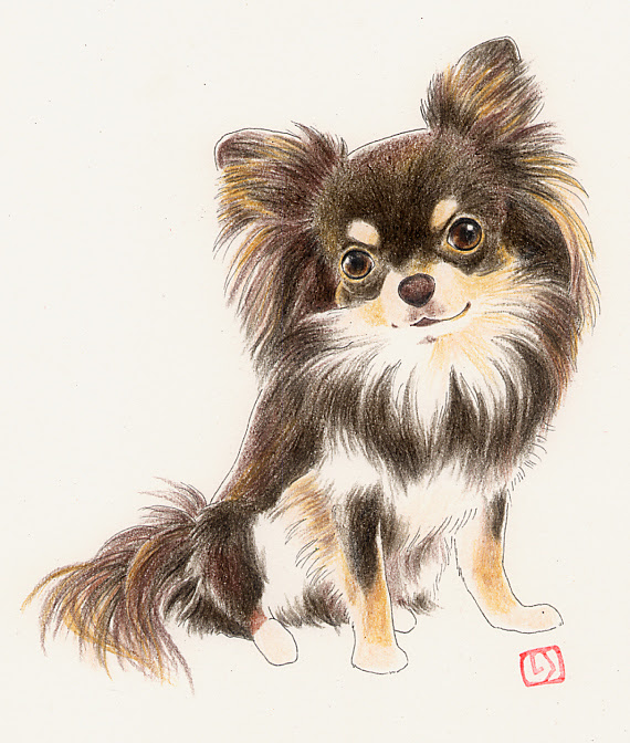 限定価格セール チワワ 犬 犬の絵 ロングコートチワワ イラスト 原画 絵画 鉛筆画 モノクロ 絵画 タペストリ