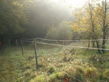 Höstbild