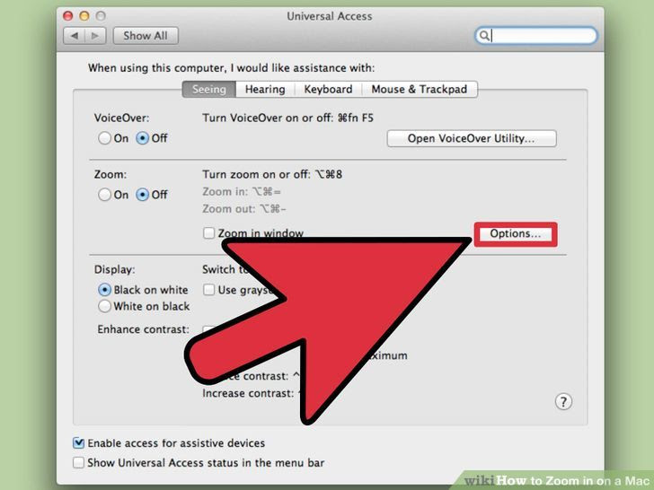 Zoom in on a Mac Step 12.jpg