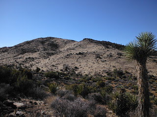 DSCF1774