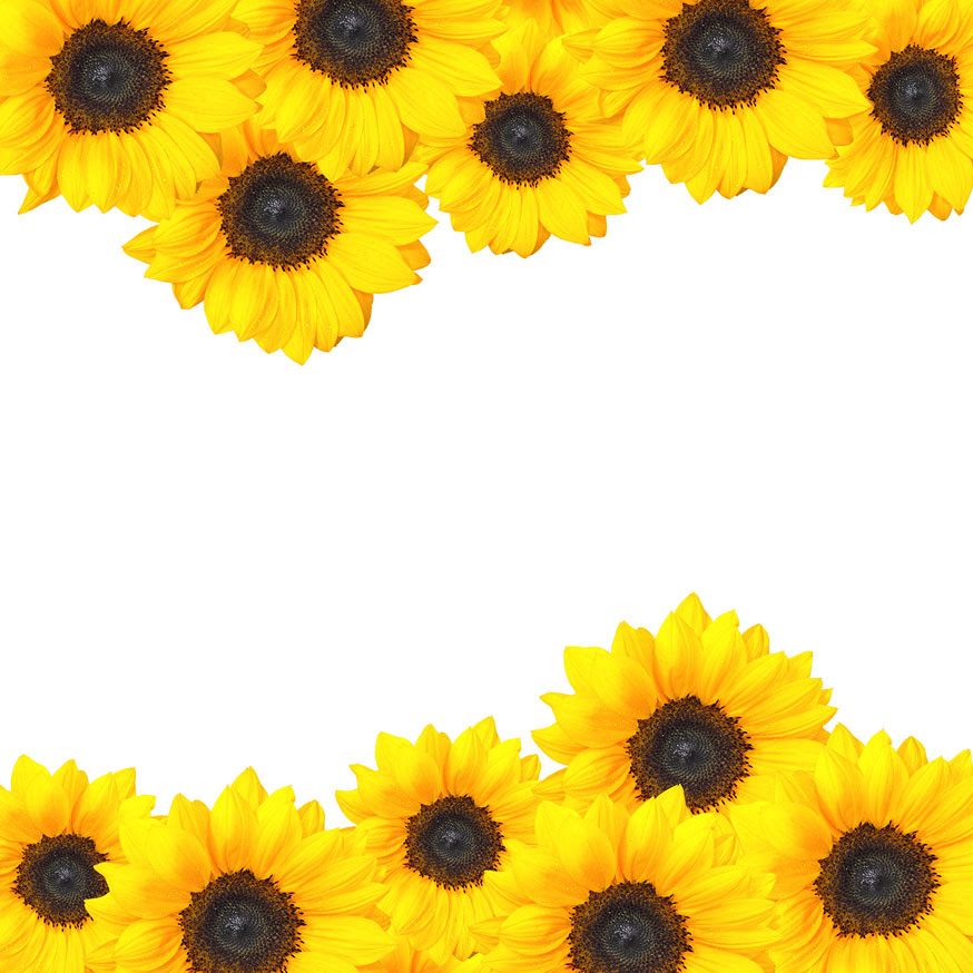 Download Free Sun Flower Clipart, Download Free Clip Art, Free Clip ...