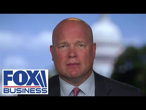 'Disgusting' the media tried to attach Paul Pelosi attacker to Trump, GOP: Whitaker