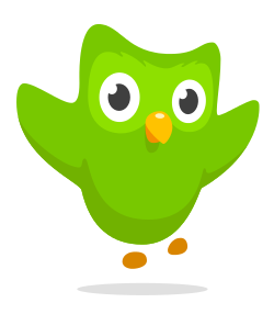 Duolingo: An Easy Way to Learn a Foreign Language | A Fast Paced Life
