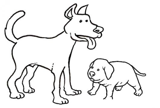 Perro Grande Y Perro Pequeno Para Pintar Y Colorear | COLOREAR DIBUJOS  VARIOS | Perro Grande Y Perro Pequeno Para Pintar Y Colorear | dibujosa.com