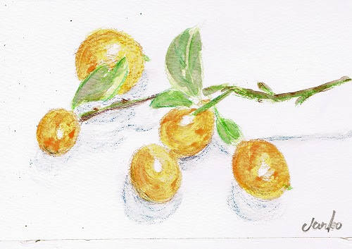 水彩色鉛筆画 リリィのお絵かき