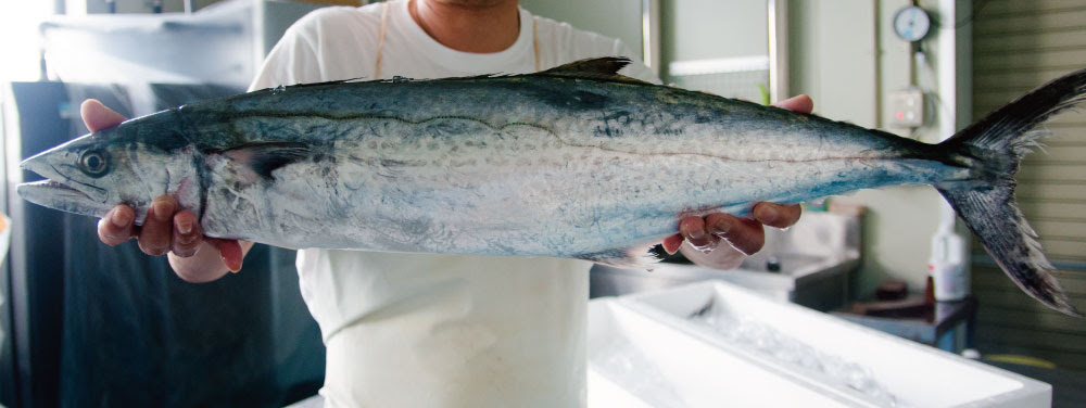 サワラの基本と食べ方 お魚屋さんが徹底解説 刺身 西京焼き