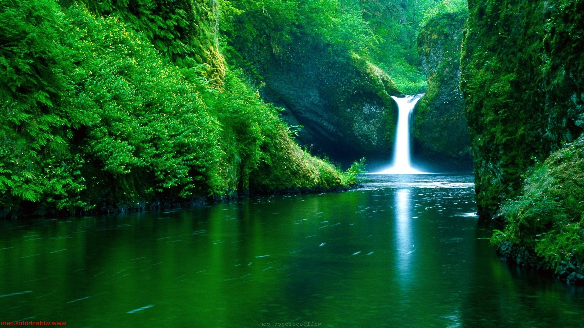 Nature wallpaper | 1920x1080 | #99