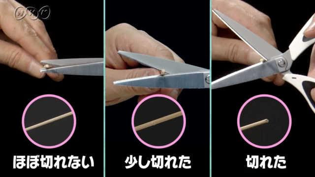 てこの決まりを探れ 実験計画編 ふしぎエンドレス 理科６年 Nhk For School