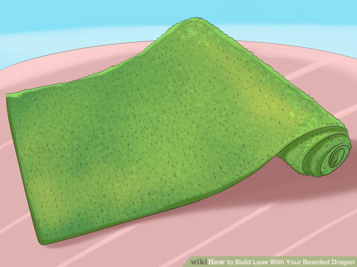 Build Love With Your Bearded Dragon Step 4 Version 2.jpg