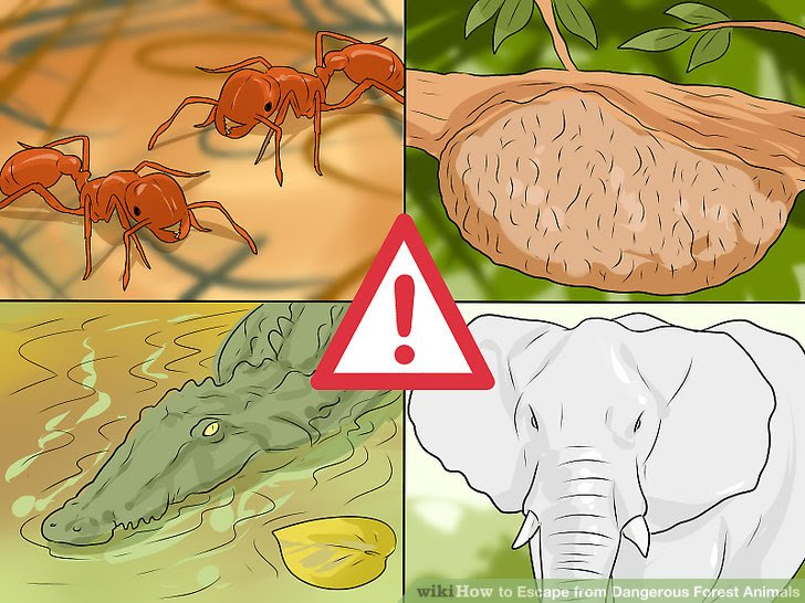 Escape from Dangerous Forest Animals Step 25 Version 2.jpg