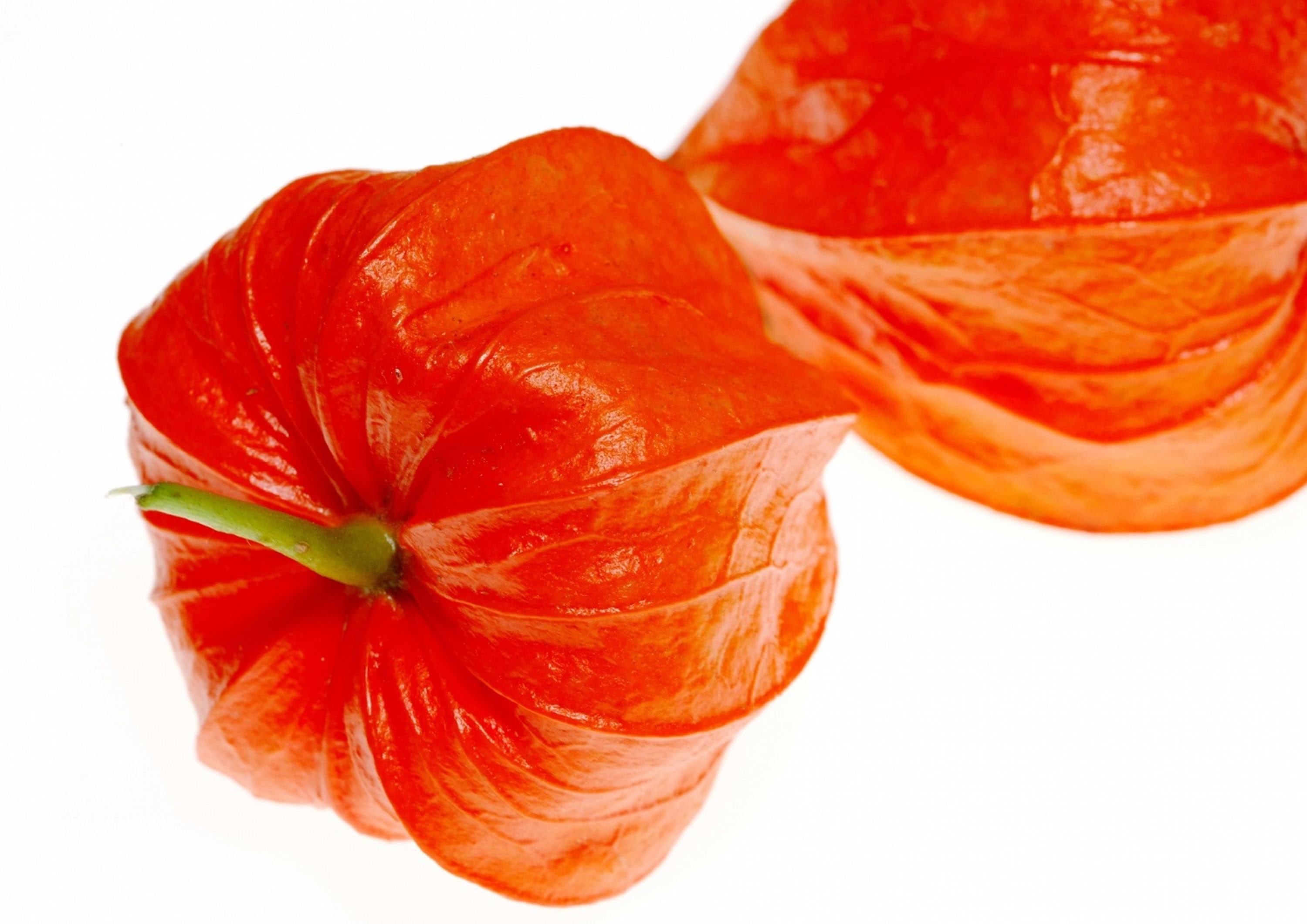 漢字クイズ 8月によく見かける赤い物 鬼灯 って何と読む 和樂web 日本文化の入り口マガジン