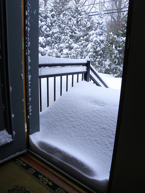 Looking Out The Front Door