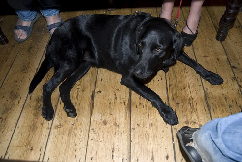 Ruby at the Pub