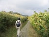 Image00003