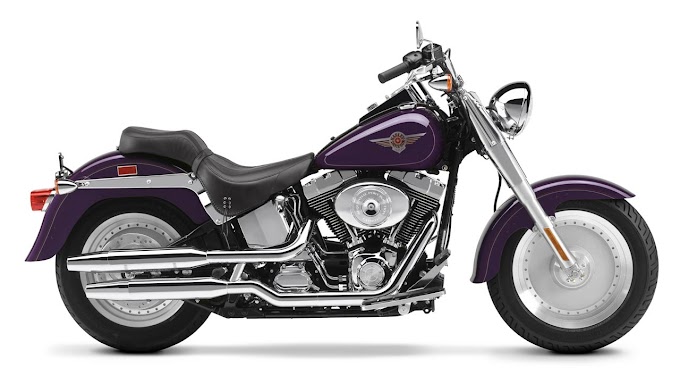 2000 Harley Fatboy Specs - 2000 Harley Davidson Fatboy / And check out the rating of the bike's engine performance, reliability, repair costs, etc.
