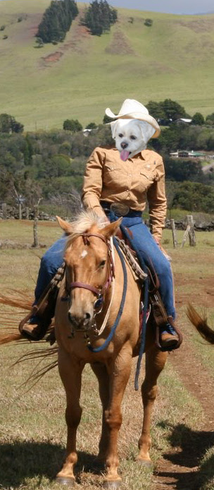 Dory-on-horseback