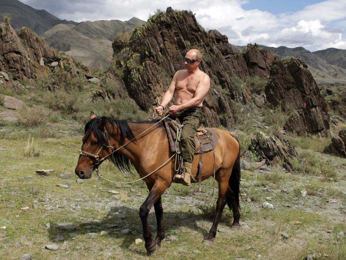 Putin takes in the scenic Siberian wilderness while shirtless on a horse.
