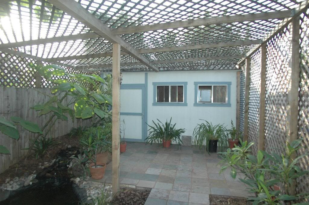 The Design Studio