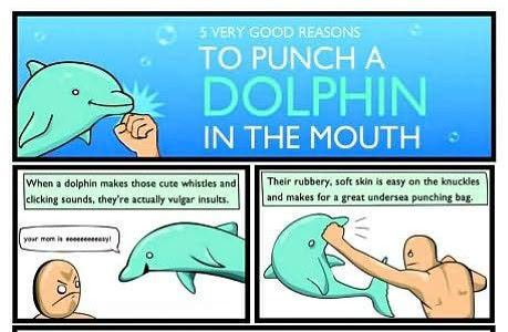 Link Download 5 Very Good Reasons to Punch a Dolphin in the Mouth (And Other Useful Guides) (Volume 1) (The Oatmeal) Free Download PDF
