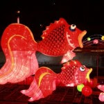20140129215922newname_0165