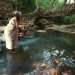living architecture, root bridges, living root bridges, tree roots, architecture, eco design, sustainable architecture, sustainable design, sustainable building, green design, green building, green architecture, eco design, living bridges of Cherrapunji,