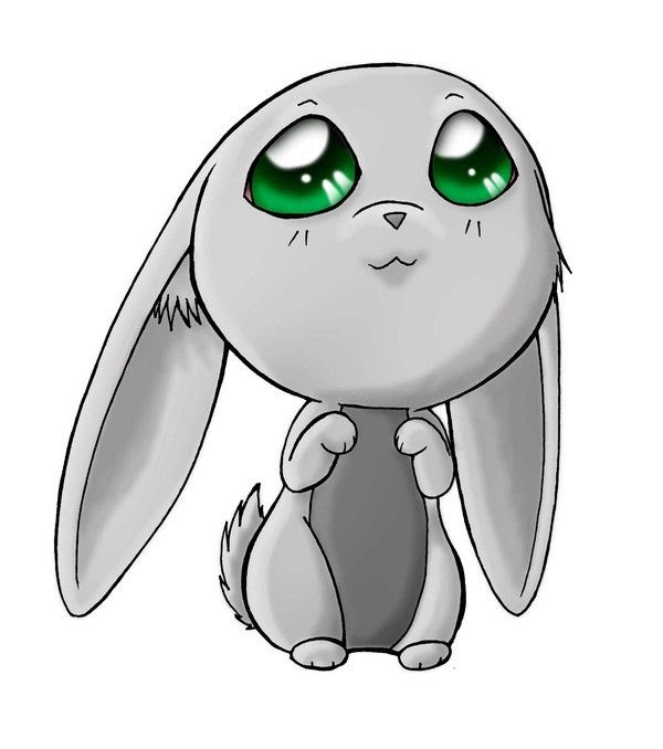 Dessin De Lapin Trop Mignon Gamboahinestrosa