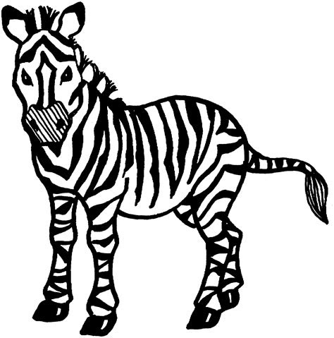  zebra coloring pages 2019 educative printable zebra coloring pages