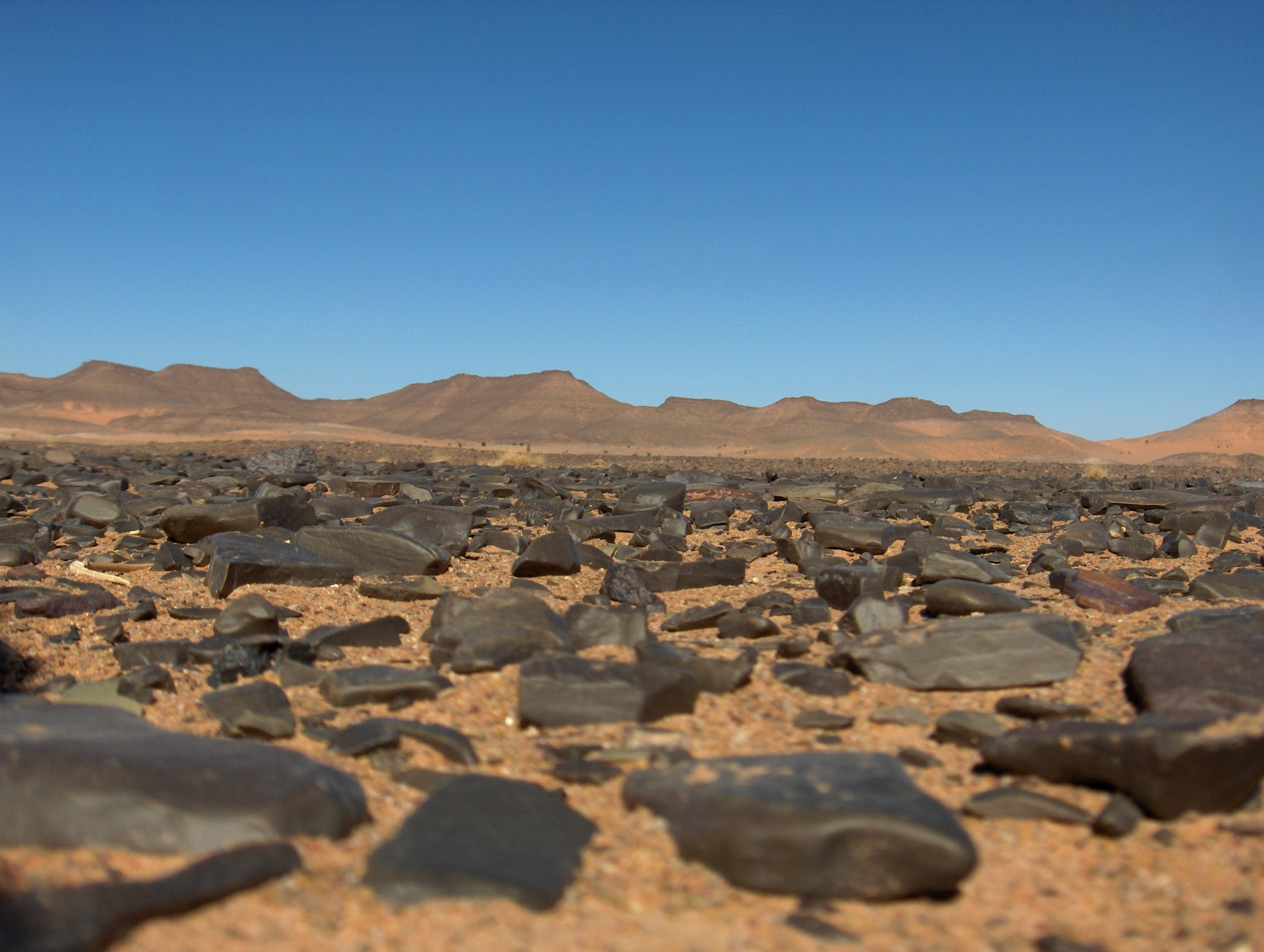 Deserto
